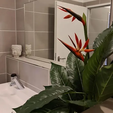 Gaestehaus Wolkenlos *